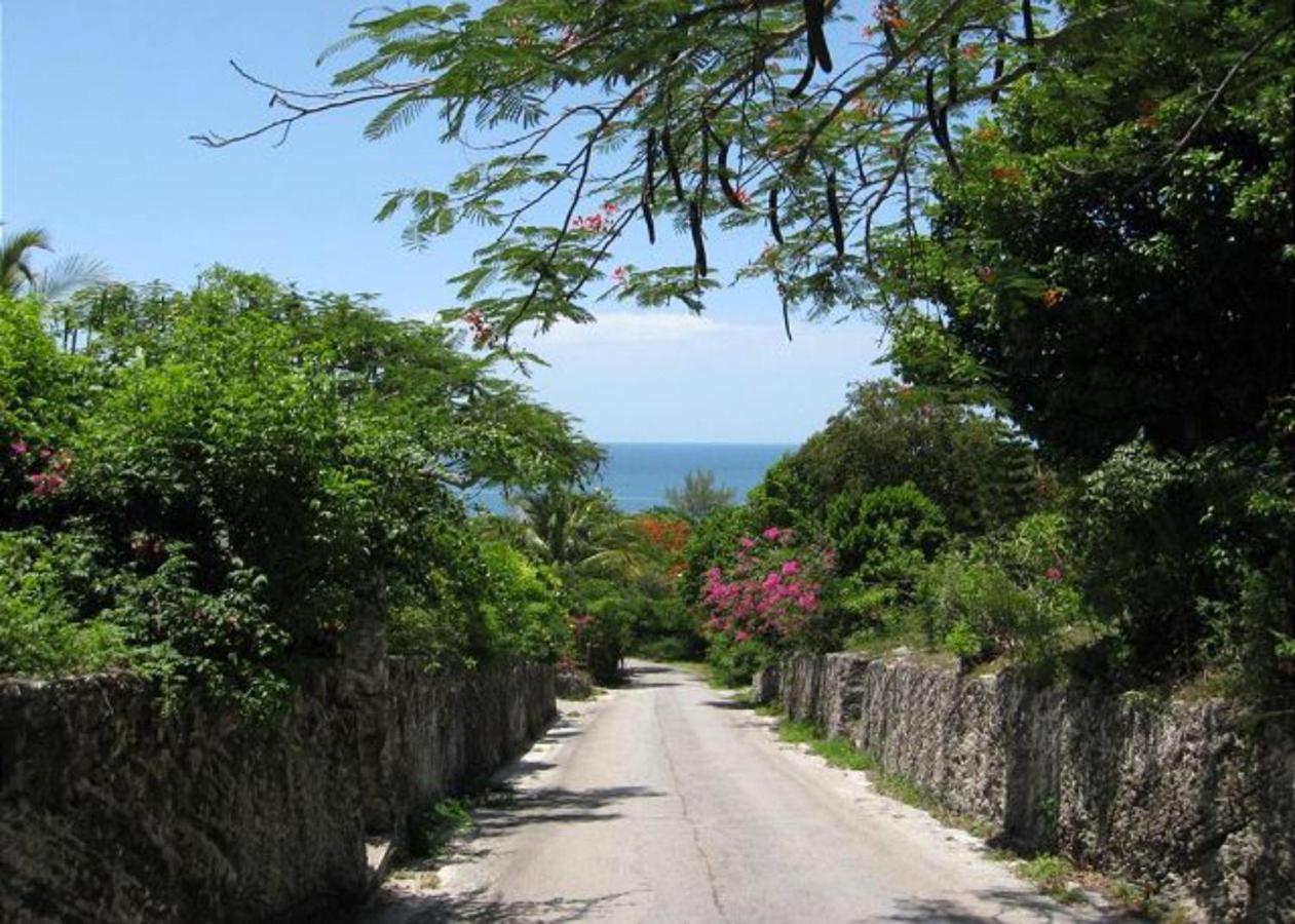 Buttonwood Reserve By Eleuthera Vacation Rentals Governor S Harbour Extérieur photo