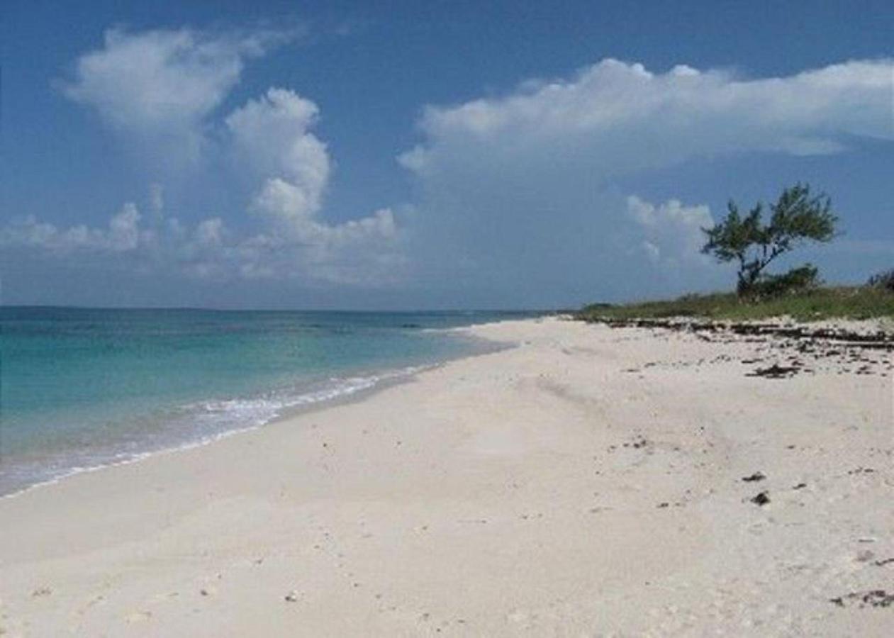 Buttonwood Reserve By Eleuthera Vacation Rentals Governor S Harbour Extérieur photo